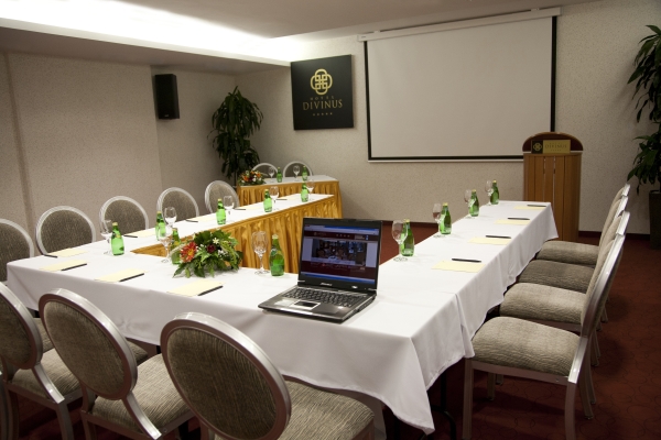 Hotel Divinus (Debrecen)